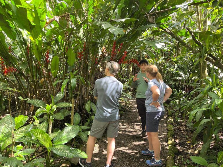 Coffee, Chocolate , Waterfall and sloths