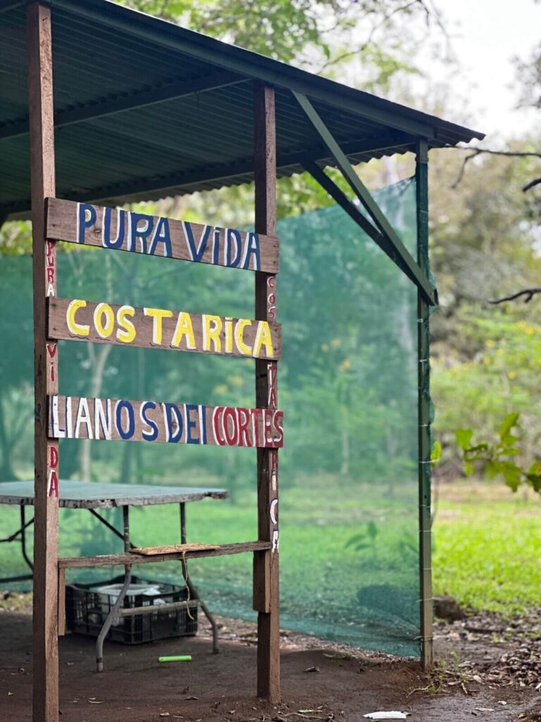 Exclusive Rain Forest Tour – 5 in 1 Experience