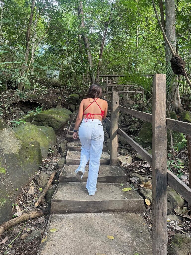 Exclusive Rain Forest Tour – 5 in 1 Experience