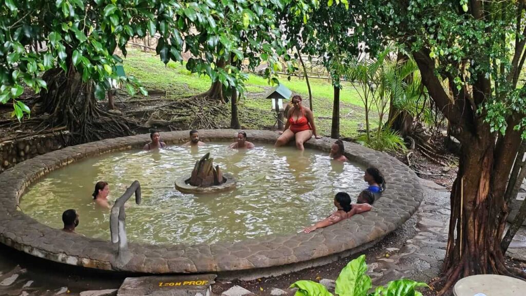 Exclusive Rain Forest Tour – 5 in 1 Experience