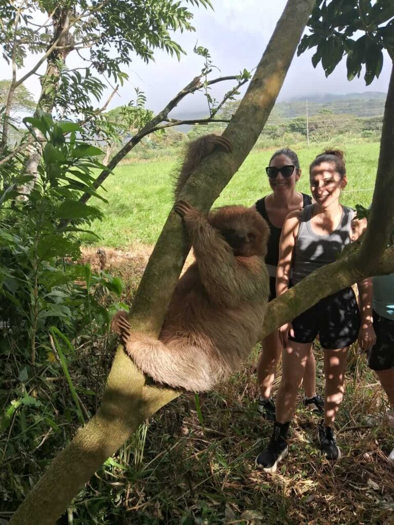 Exclusive Rain Forest Tour – 5 in 1 Experience