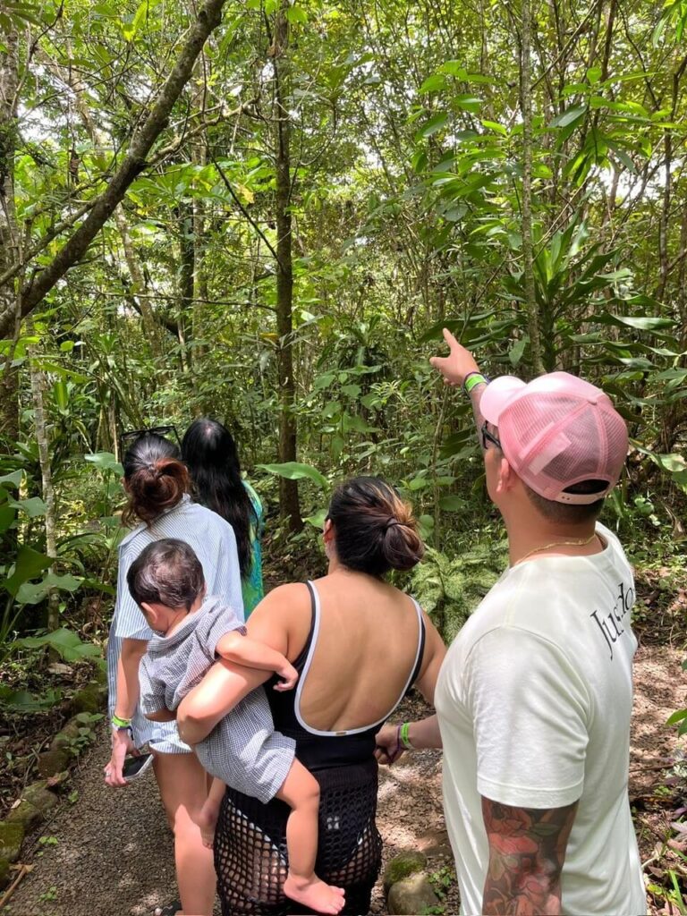 Exclusive Rain Forest Tour – 5 in 1 Experience