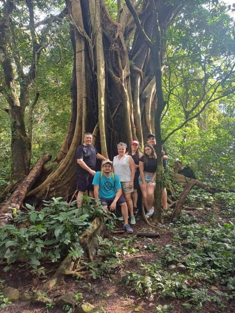 Exclusive Rain Forest Tour – 5 in 1 Experience