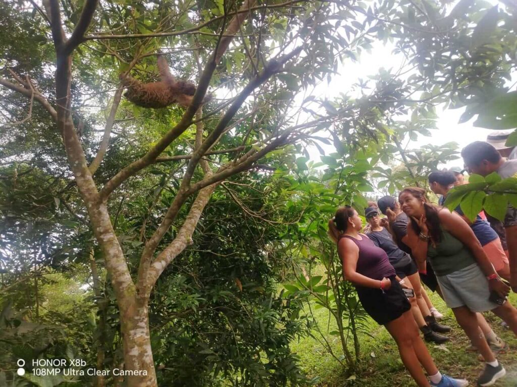 Exclusive Rain Forest Tour – 5 in 1 Experience