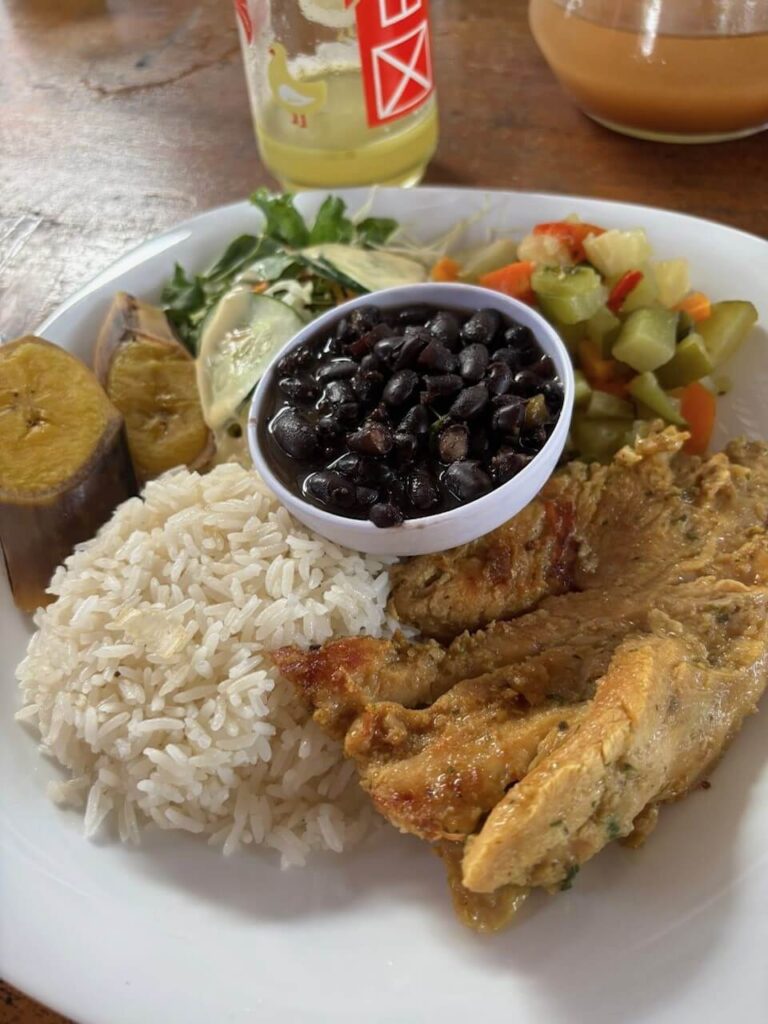 Exclusive Rain Forest Tour – 5 in 1 Experience