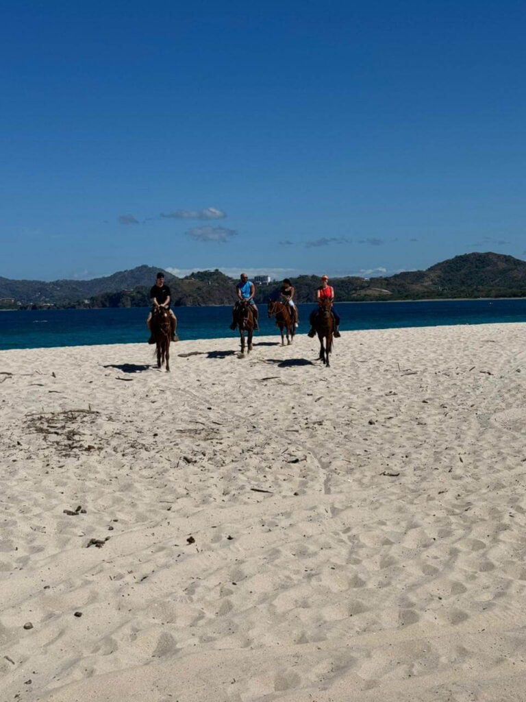 Horseback Riding, beach and trails
