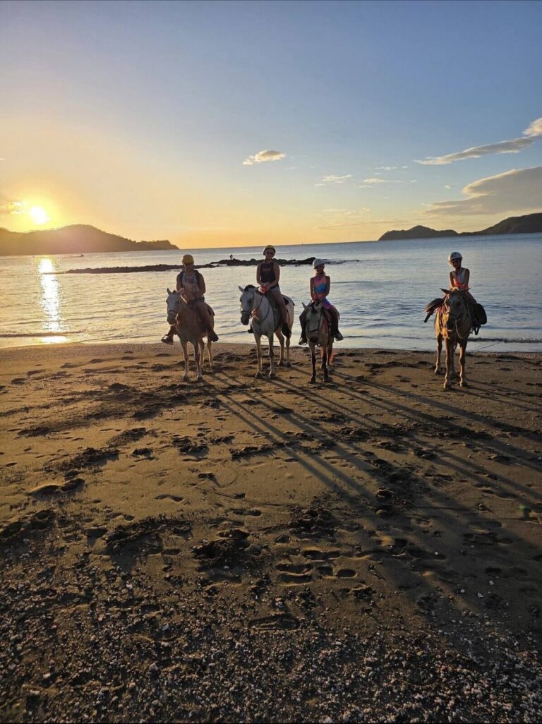 Horseback Riding, beach and trails