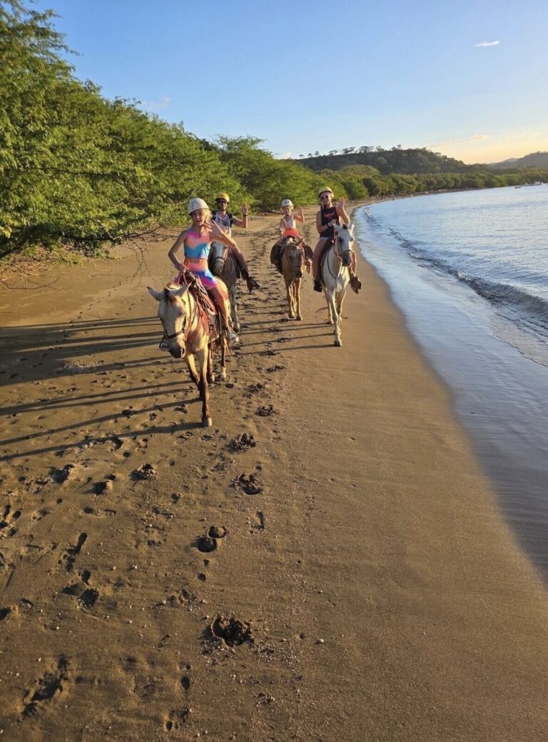 Horseback Riding, beach and trails