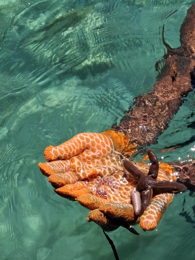 Private Boat Combo Fishing and Snorkeling 4 Hours