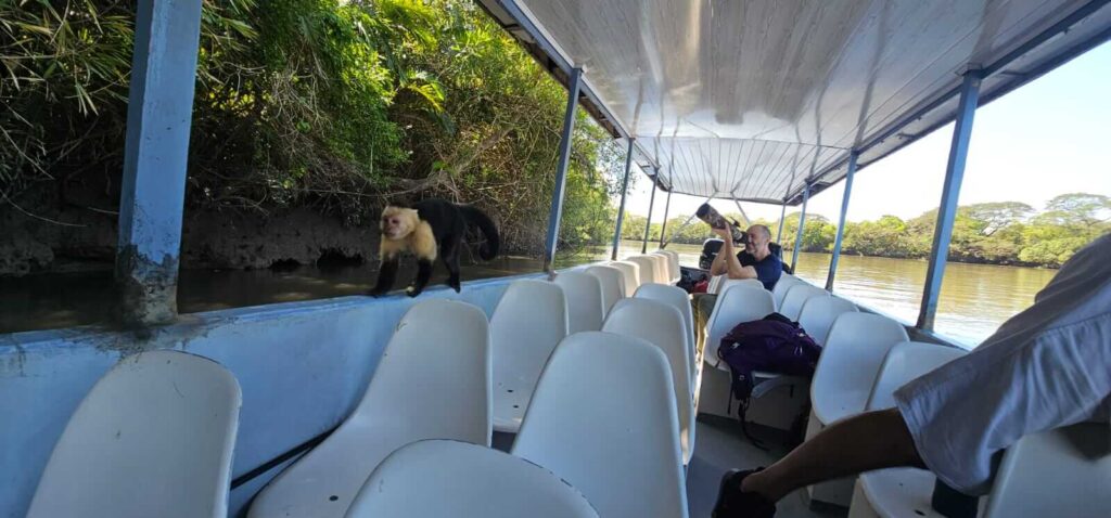 Safari Boat Tour – Palo Verde National Park