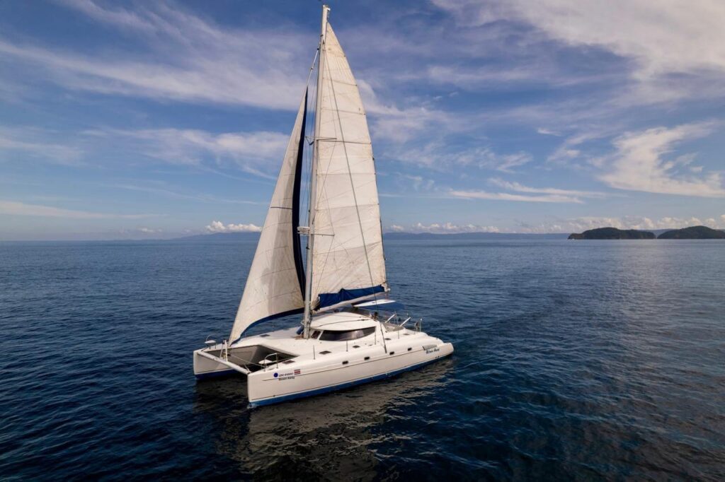 Sunset Catamaran Cruise