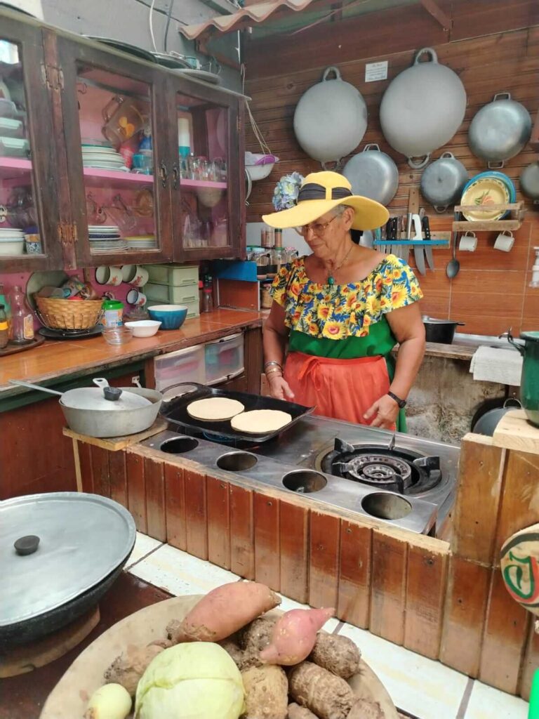 Typical Local Experience & Guanacaste Beach Tour